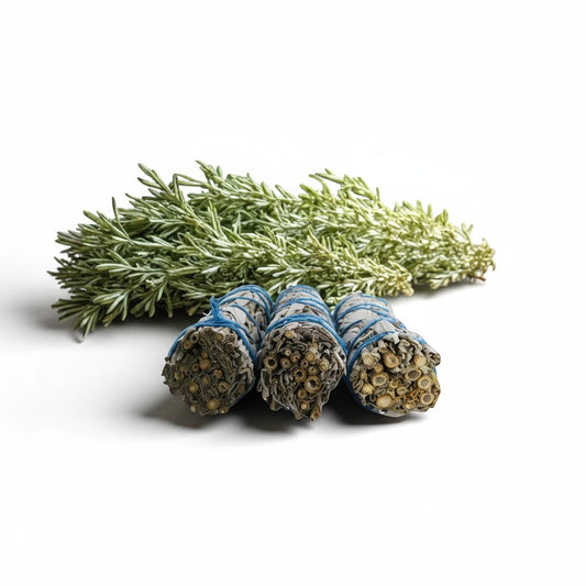 The Witches' Quest 3-pack of California white sage smudge sticks tied with blue cotton cord and fresh rosemary sprigs.