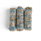 The Witches' Quest 3-pack of California white sage smudge sticks tied with blue cotton cord for energy cleansing.