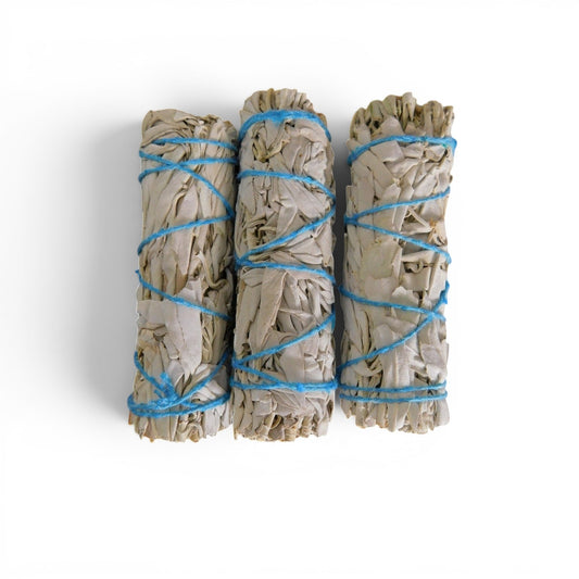 The Witches' Quest 3-pack of California white sage smudge sticks tied with blue cotton cord for energy cleansing.