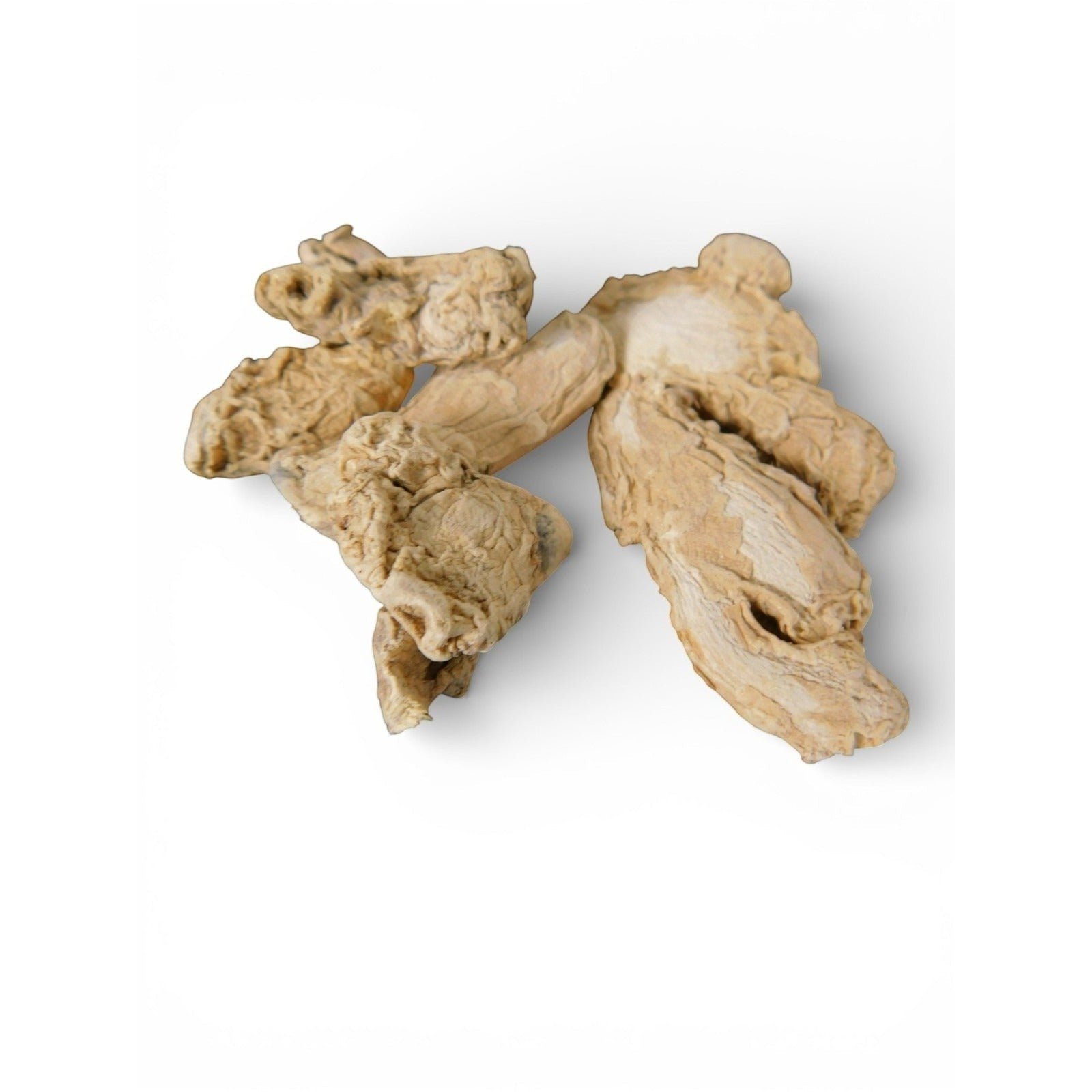 The Witches' Quest whole dried ginger root pieces for ritual spellwork and healing magic on a white background