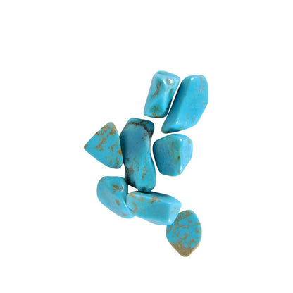 Blue Dyed Howlite Tumbled Stone Lot Turquoise Look Polished Crystal Stones