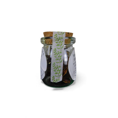 Ash & Sea Star Anise Glass Jar 1oz - Protection & Purification - New